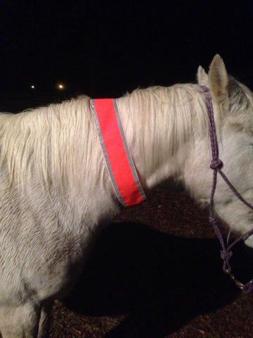 Hunter Safety Products